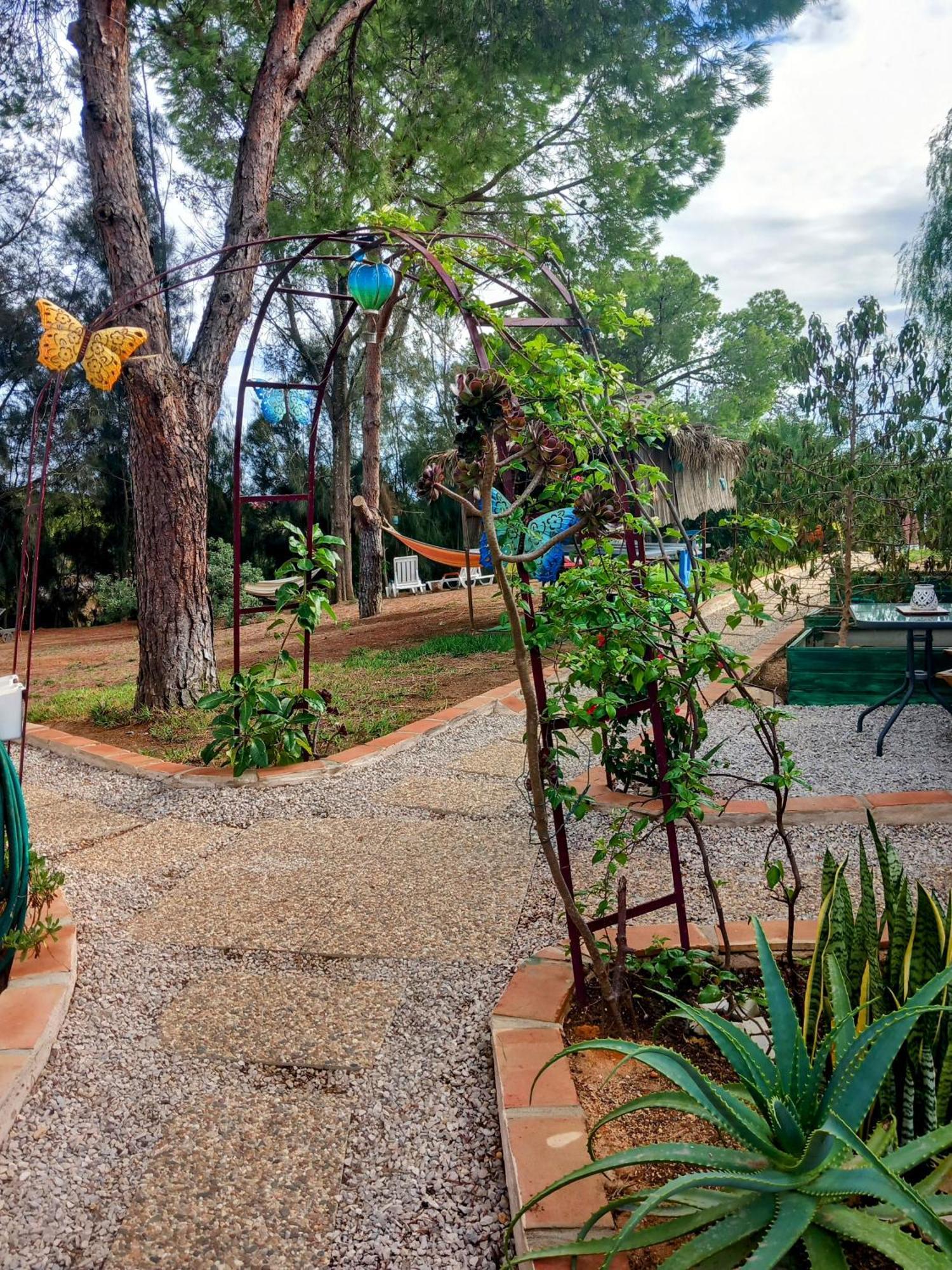 Romance Valdareina, Piscine Chauffee, Benagil-Carvoeiro Карвоейро Екстериор снимка